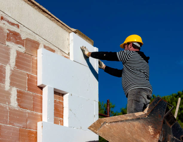 Best Energy-efficient Insulation  in Sour Lake, TX