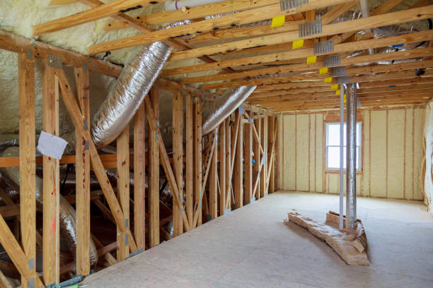 Best Professional Insulation Contractor  in Sour Lake, TX