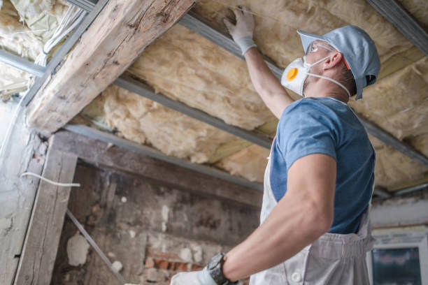 Best Garage Insulation Installation  in Sour Lake, TX