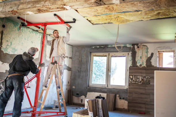 Best Cellulose Insulation  in Sour Lake, TX