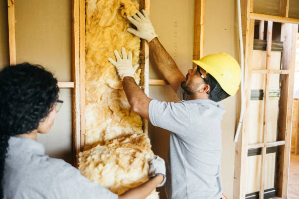 Best Blown-in Insulation  in Sour Lake, TX