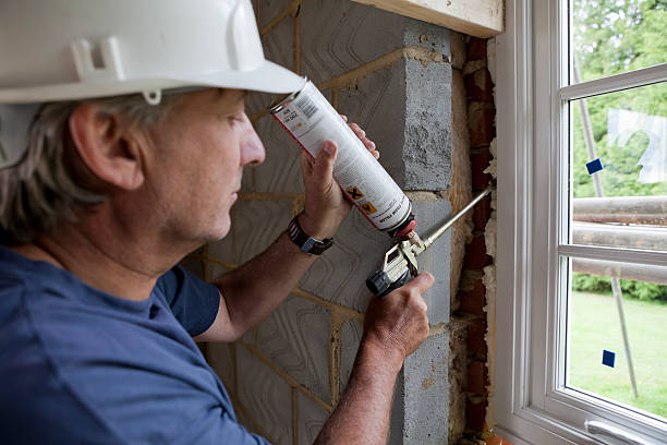 Best Insulation Inspection Services  in Sour Lake, TX