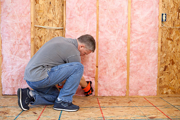 Best Professional Insulation Contractor  in Sour Lake, TX
