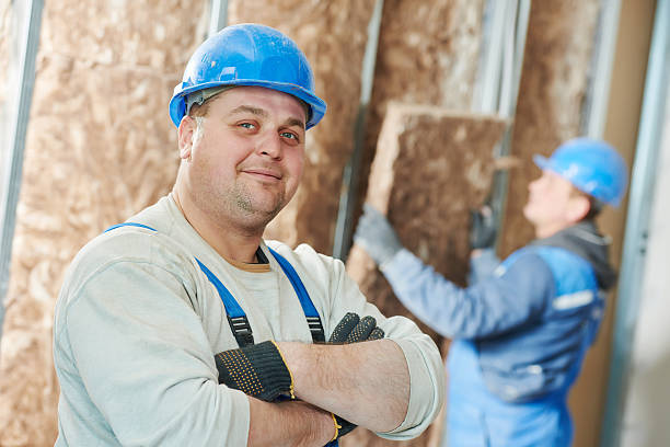 Best Wall Insulation Contractor  in Sour Lake, TX