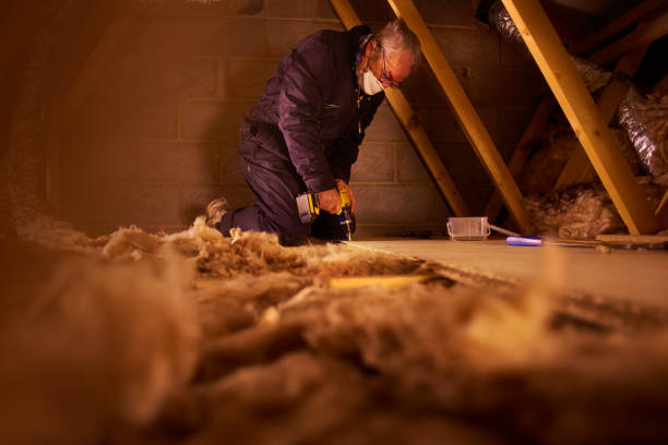 Best Crawl Space Insulation  in Sour Lake, TX